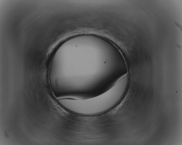 X0000093091502200710171126