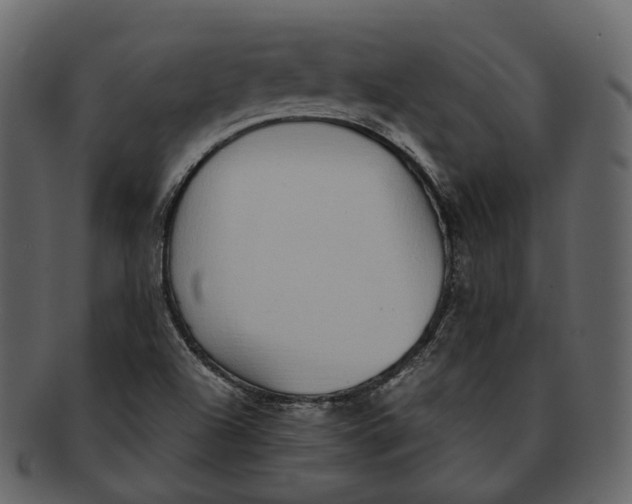 X0000093091504200710171126