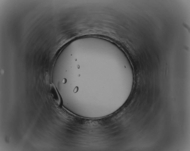 X0000093091505200710171126