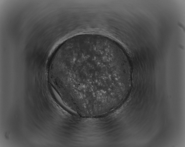 X0000093091506200710171126