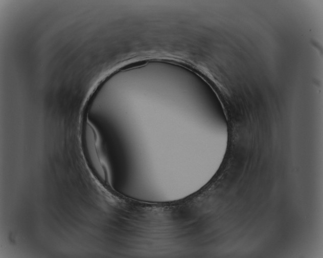 X0000093091508200710171126