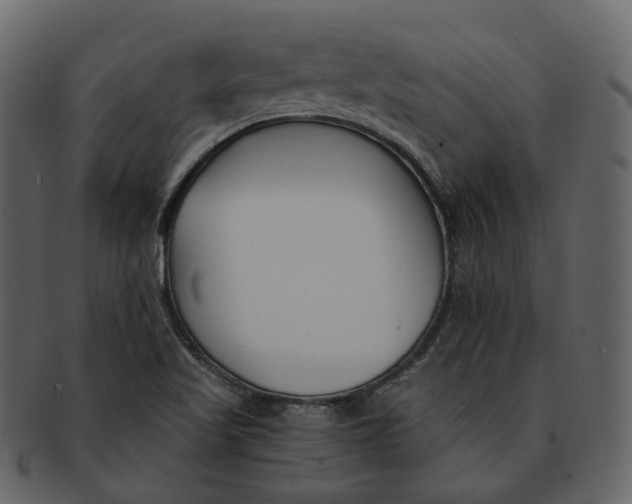 X0000093091509200710171126