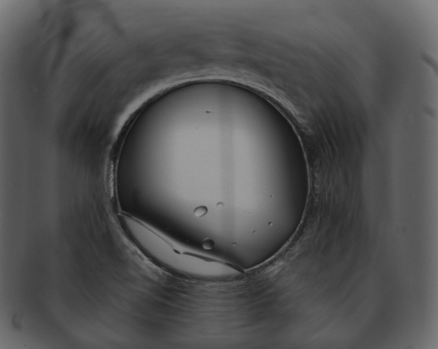 X0000093091510200710171126