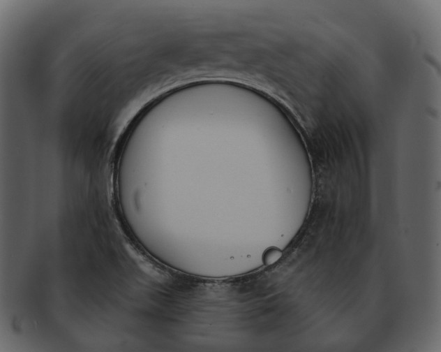 X0000093091511200710171126