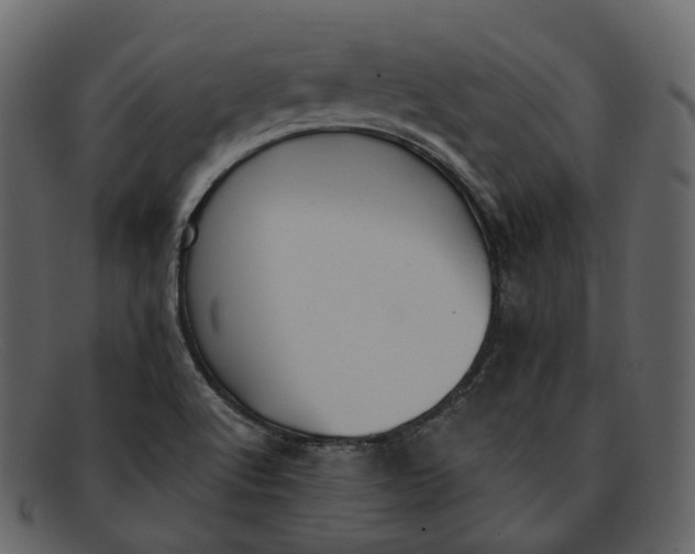 X0000093091512200710171126