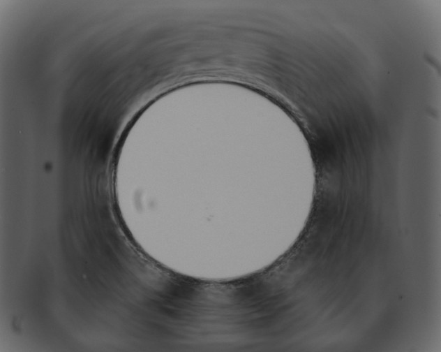 X0000093091514200710171126