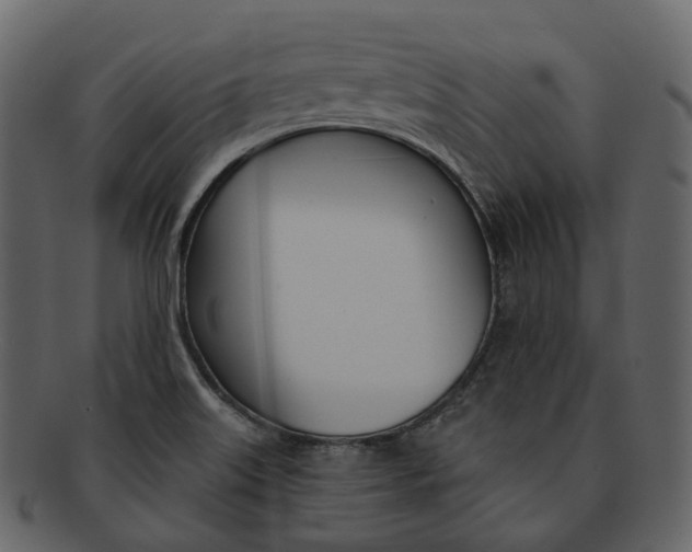 X0000093091515200710171126