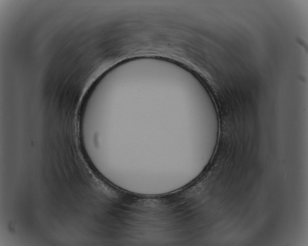 X0000093091517200710171126