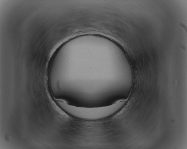 X0000093091518200710171126