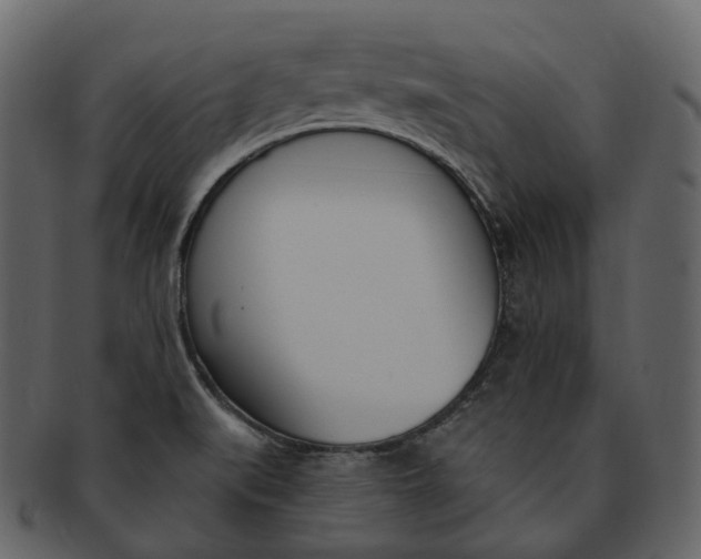 X0000093091519200710171126