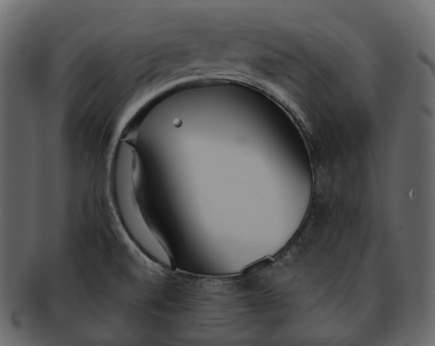 X0000093091520200710171126