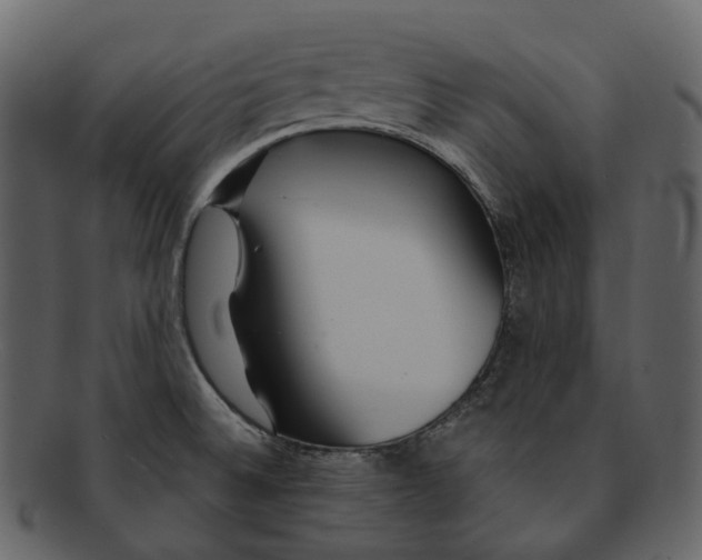 X0000093091524200710171126