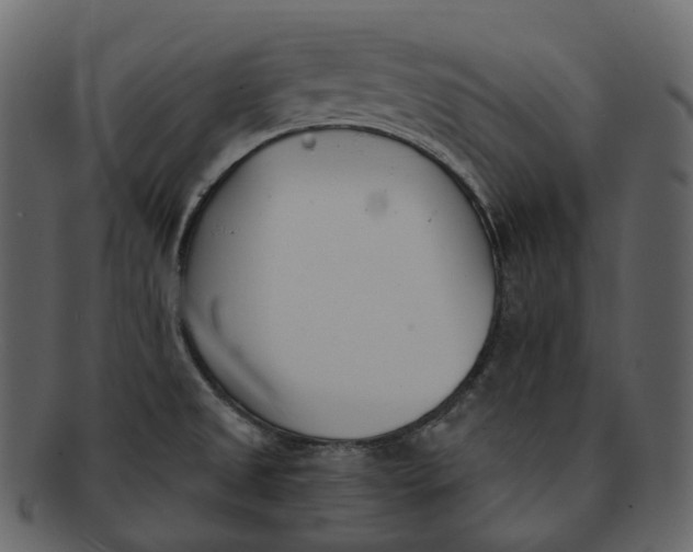 X0000093091525200710171126