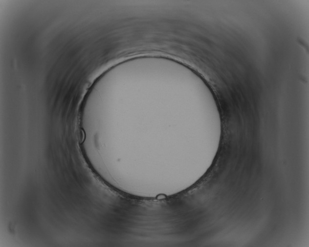 X0000093091526200710171126