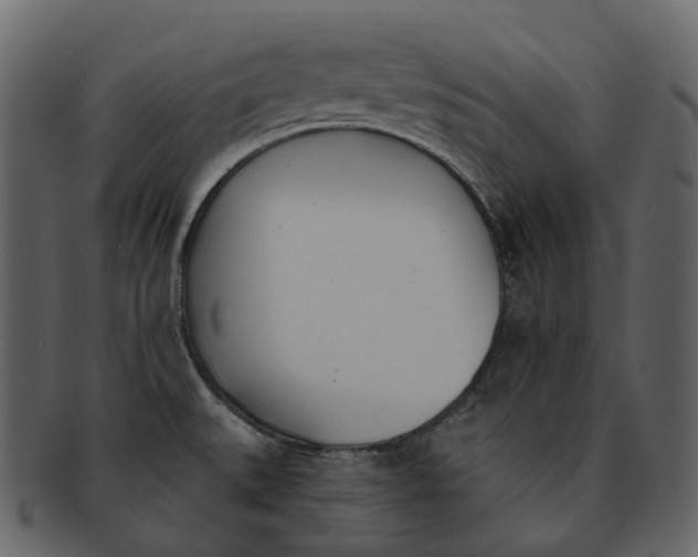 X0000093091527200710171126