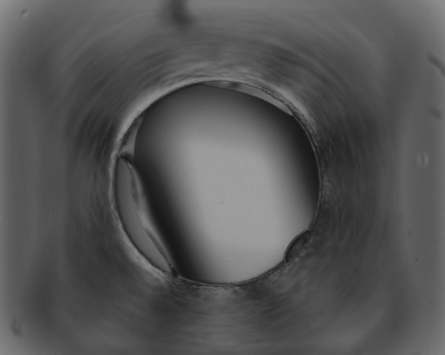 X0000093091528200710171126