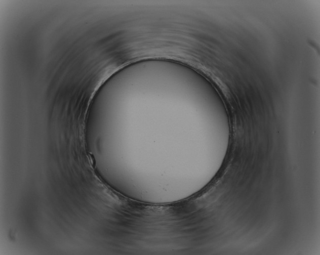 X0000093091529200710171126