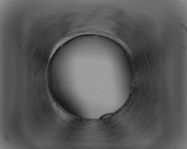 X0000093091530200710171126