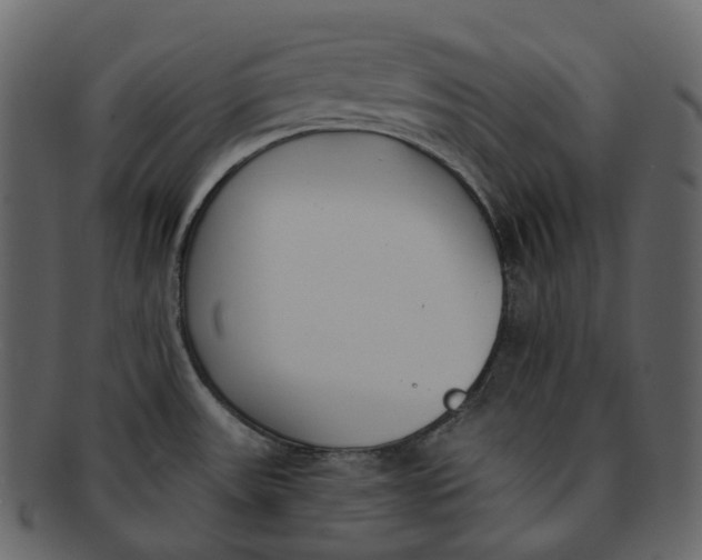 X0000093091531200710171126