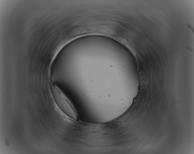 X0000093091532200710171126