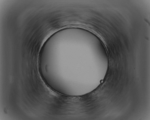 X0000093091533200710171126