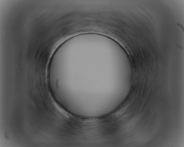 X0000093091535200710171126