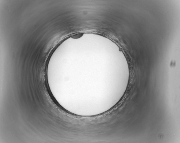 X0000093090002200710241210