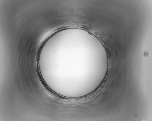 X0000093090005200710241210