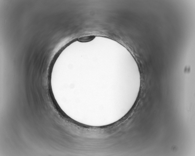 X0000093090008200710241210