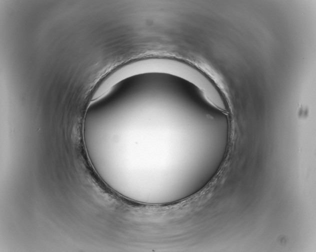 X0000093090009200710241210