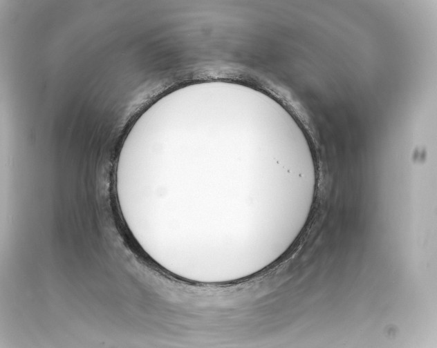 X0000093090010200710241210