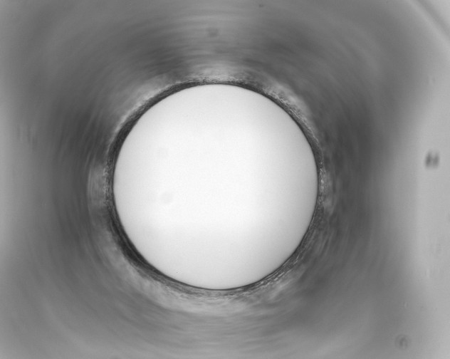 X0000093090012200710241210