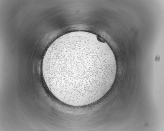 X0000093090014200710241210