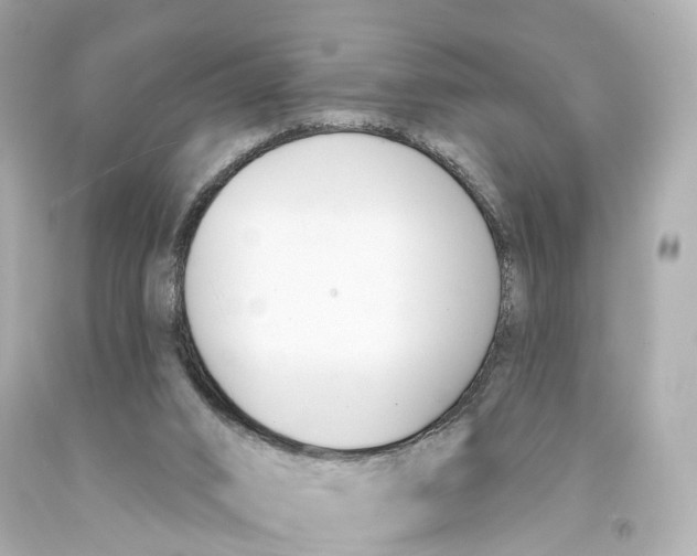 X0000093090016200710241210
