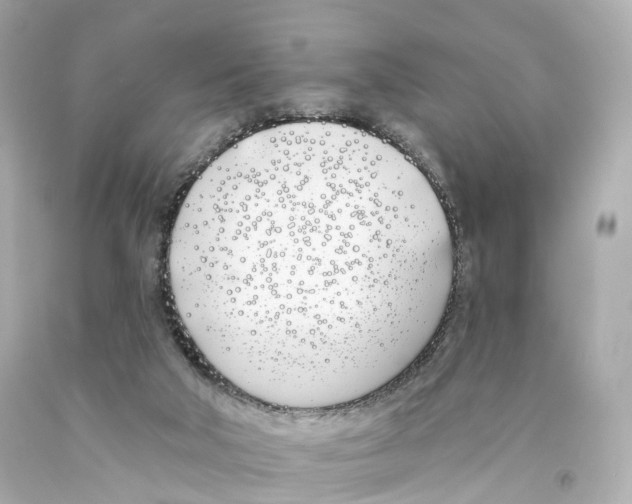 X0000093090018200710241210