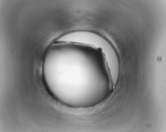 X0000093090019200710241210