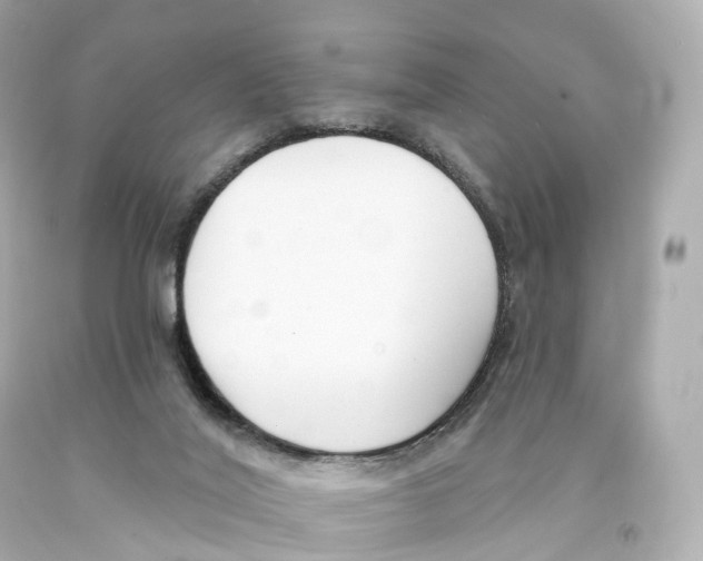 X0000093090020200710241209