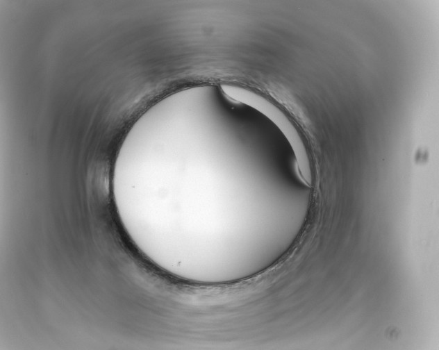 X0000093090021200710241209