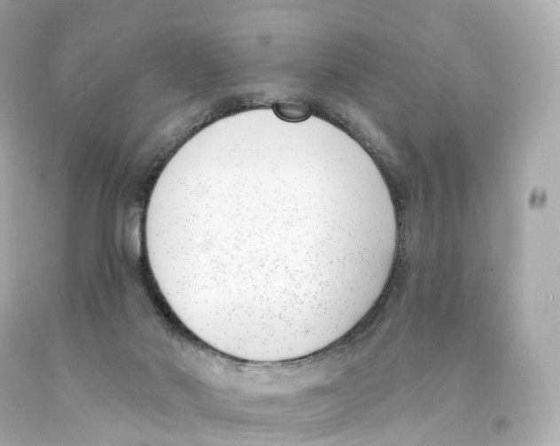 X0000093090022200710241209