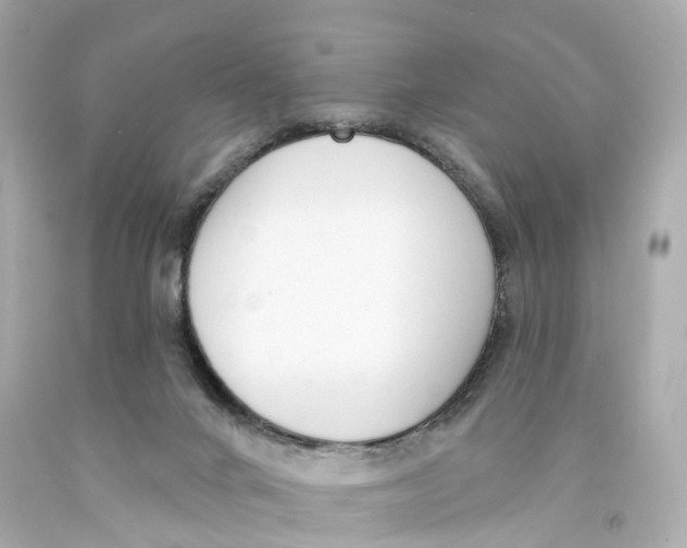 X0000093090024200710241209