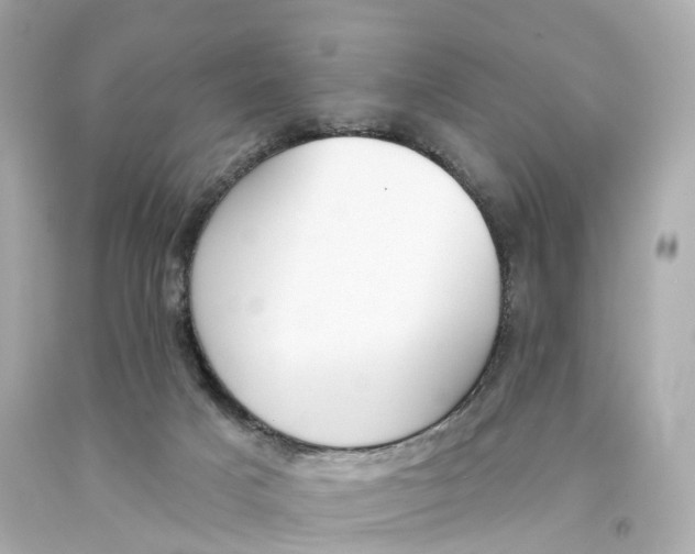 X0000093090025200710241209