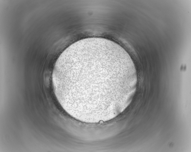 X0000093090026200710241209