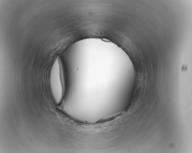X0000093090029200710241209