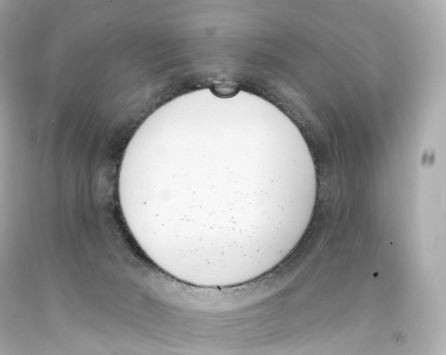 X0000093090030200710241209
