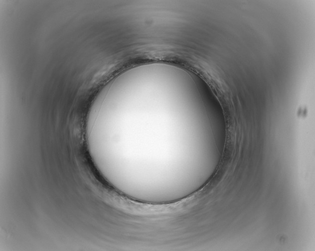 X0000093090031200710241209