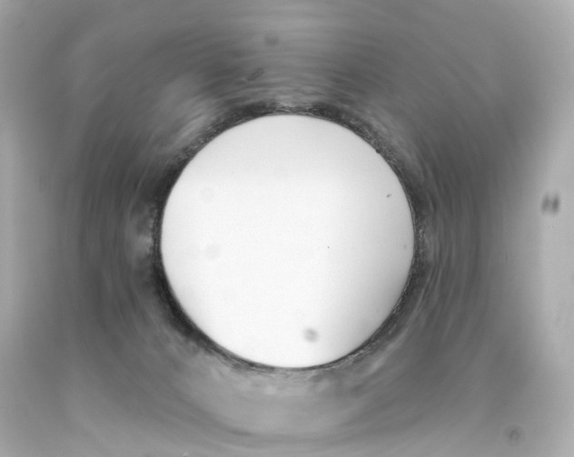 X0000093090032200710241209