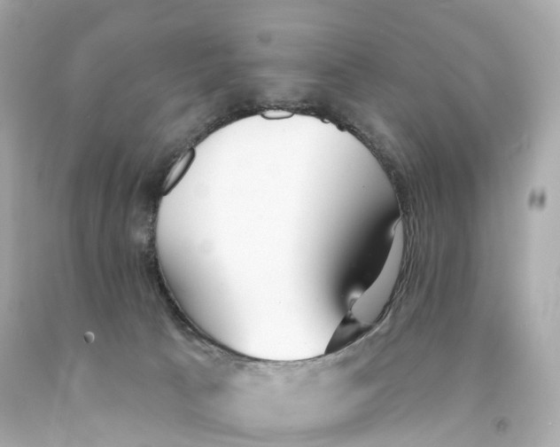 X0000093090033200710241209