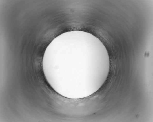 X0000093090034200710241209