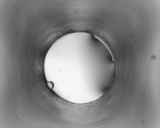 X0000093090035200710241209