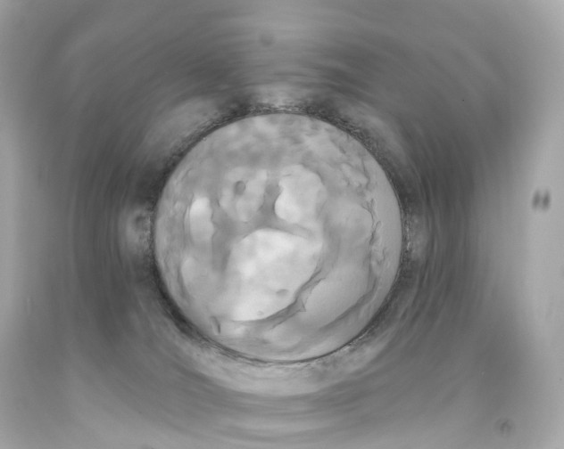 X0000093090036200710241209